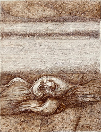 [PROD_0001602] Salah ElMeligy