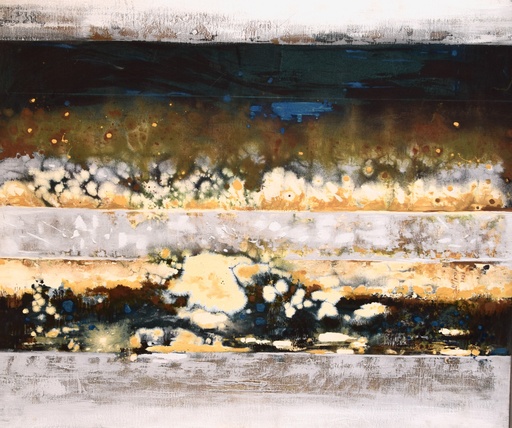 [PROD_0001612] Salah ElMeligy
