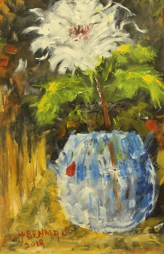 [PROD_0002019] Hany Behman