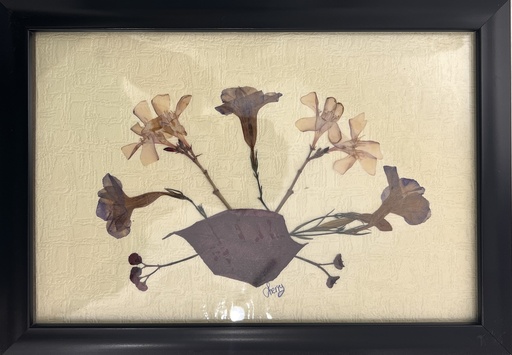 [PROD_0002372] Cherine Osman