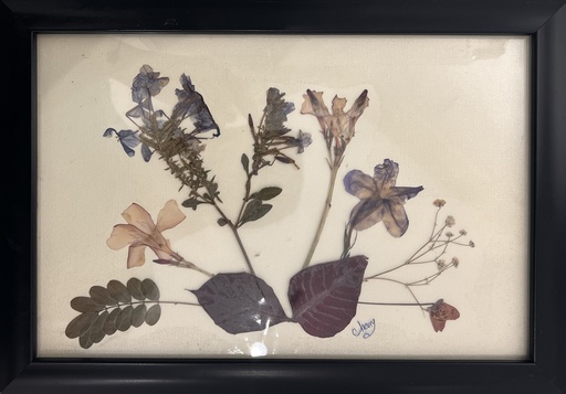 [PROD_0002373] Cherine Osman