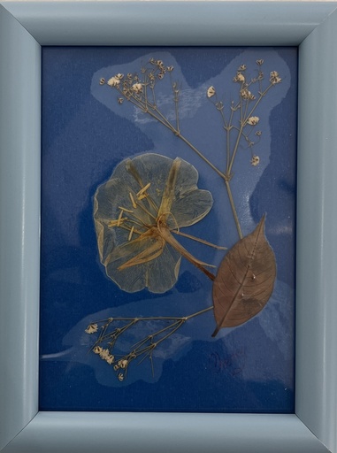 [PROD_0002376] Cherine Osman