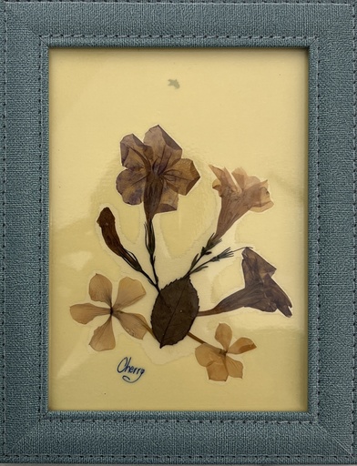 [PROD_0002377] Cherine Osman