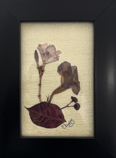 [PROD_0002380] Cherine Osman