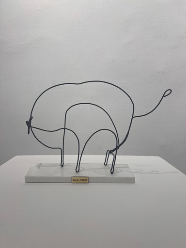 [PROD_0002549] Galal Gomaa